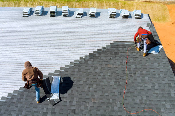 Best Roof Moss and Algae Removal  in Chubbuck, ID